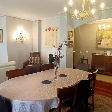 Funi-campo Volantin Apartamento Bilbao