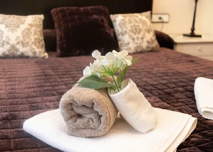 Funi-campo Volantin * Bilbao